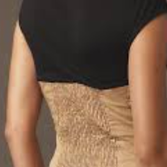 Anthropologie Black and‎ Tan Cap Sleeve Bustier Muscle Tee - Picture 6 of 11